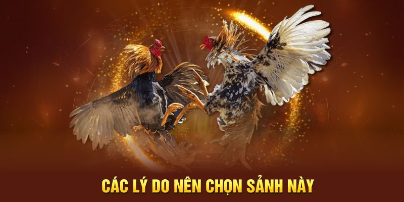 Các lý do nên chọn sảnh này