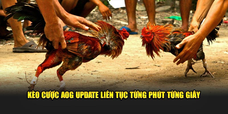 Kèo cược AOG update liên tục từng phút từng giây